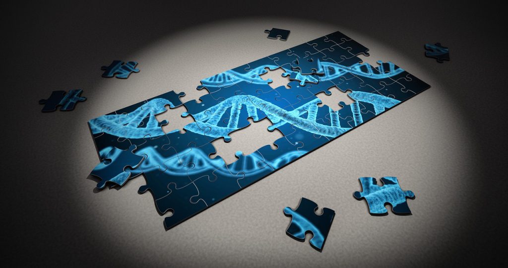 מבנה גנטי – תרופות בהתאמה אישית