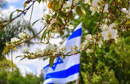 נזקי מלחמה וטרור – האם רכושכם מכוסה?